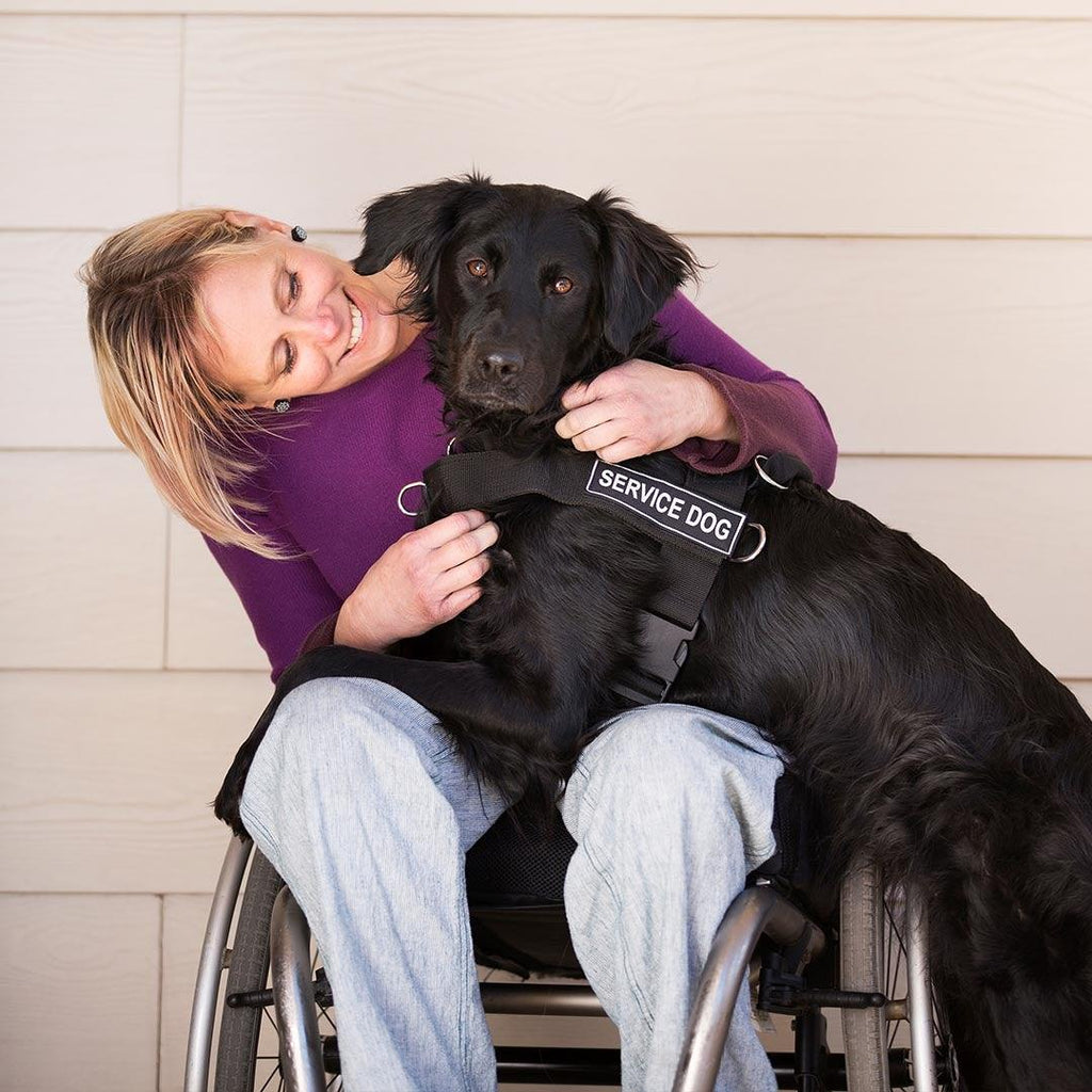 CANINE ASSISTED THERAPY, THINGS YOU NEED TO KNOW