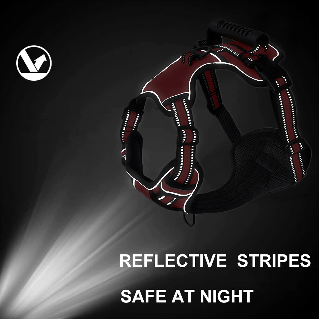 No-Pull Reflective & Breathable Harness