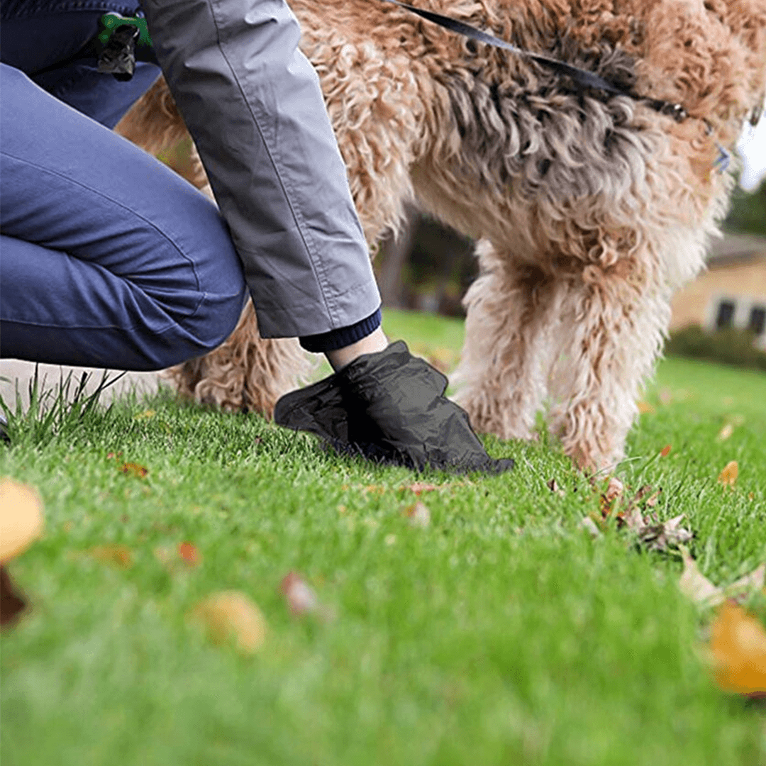 Eco-Friendly Dog Poop Bag - Furkits