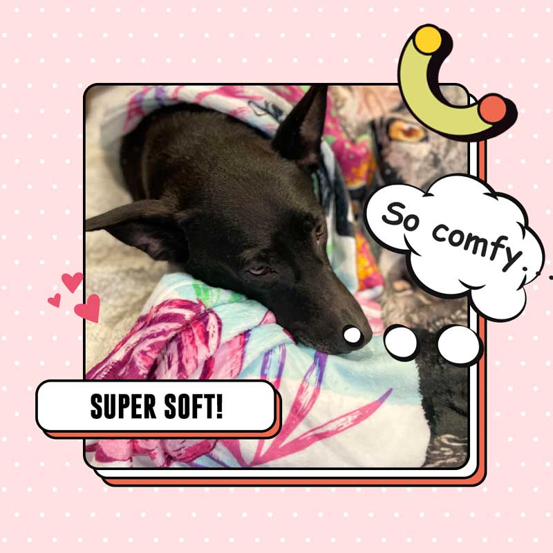 Custom Pet Fleece Blankets For Dogs & Dog Lovers- GTA Style Art Portrait - Customized Scenery Backgrounds | Furkits™ Fluffy Fluff Series